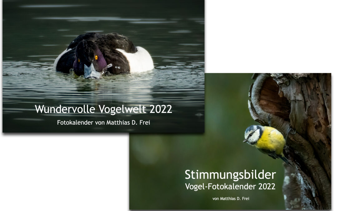Fotokalender 2022 – Vogelwelt und Stimmungsbilder